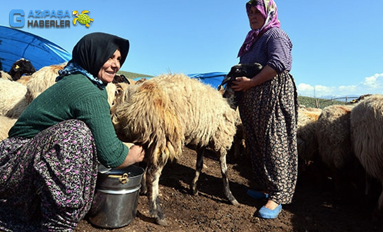 Yörük Kavramı Nedir? Bölüm-1