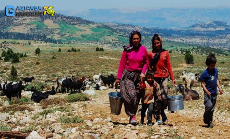 Anadolu Yörük Kültürüne Tarihsel Bir Bakış...