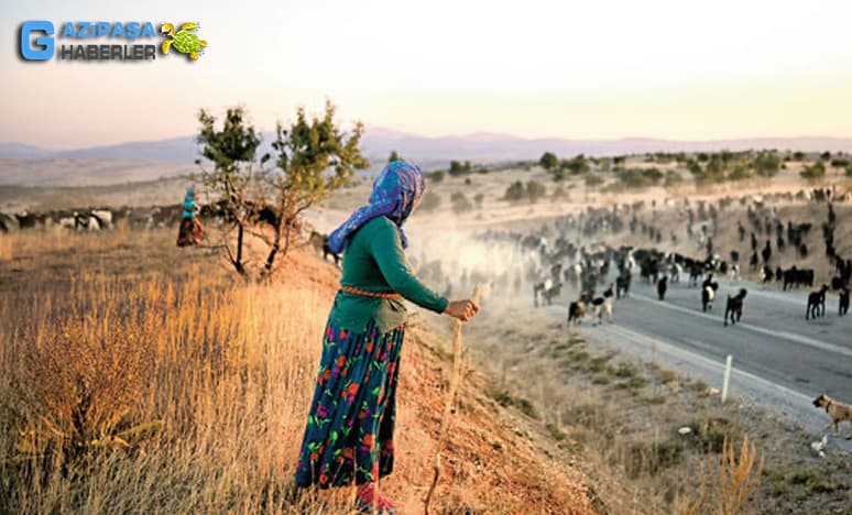 Yörük Oyunları Nelerdir?